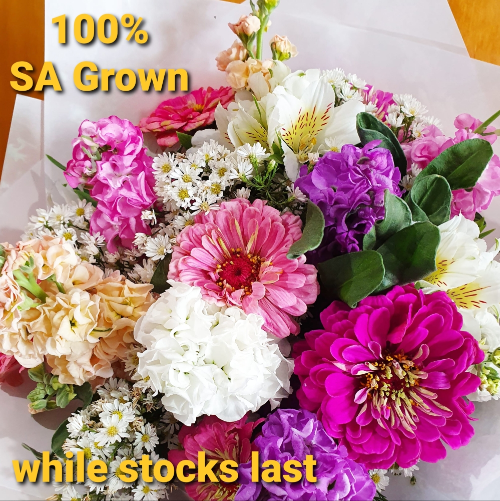 Best of SA