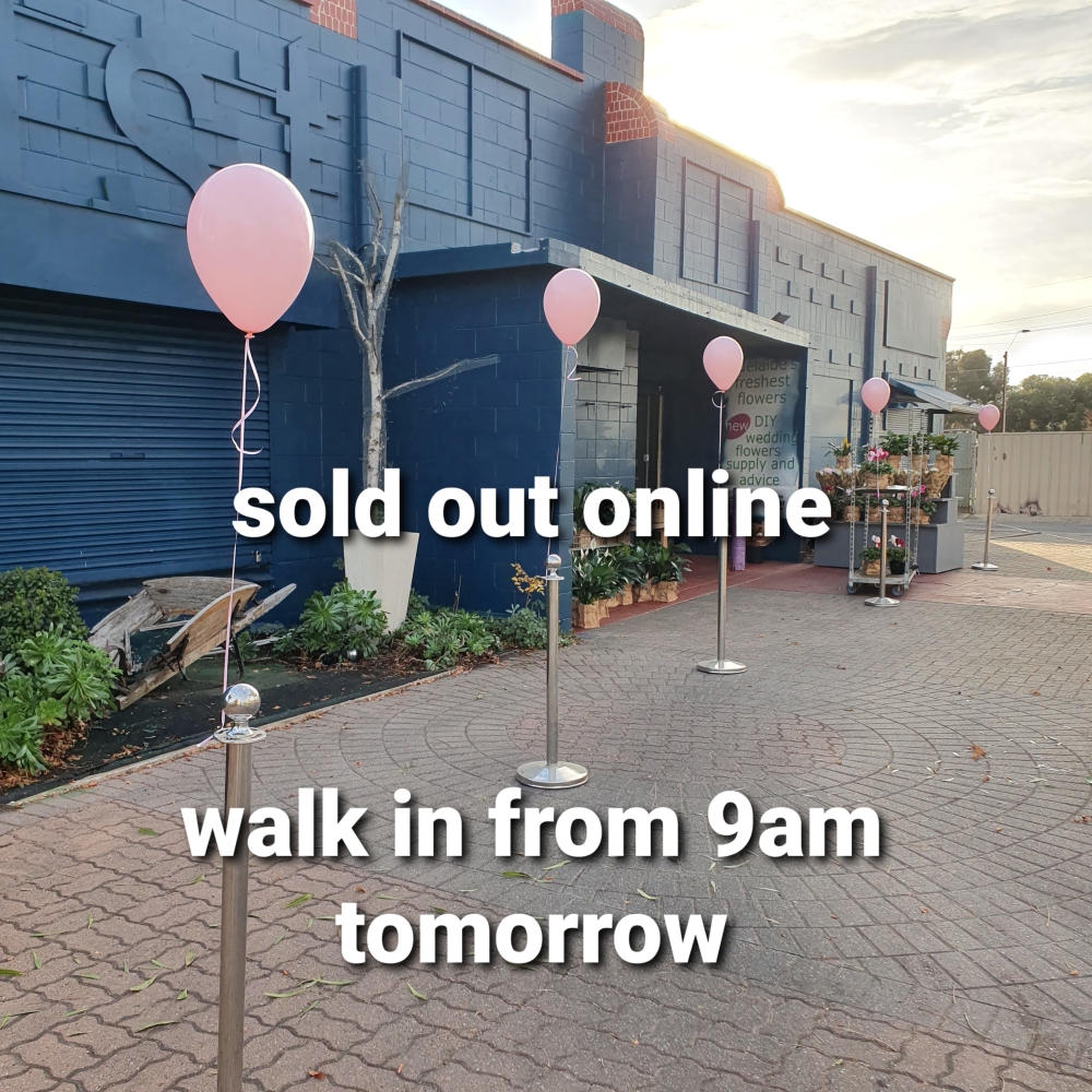 sold out online